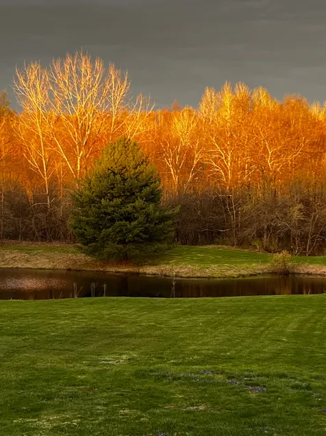 Upstate NY Getaway | Spacious & Private - Image 1