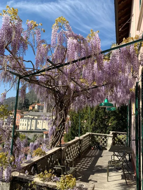 The Poets House overlooking Lake Como - Image 1
