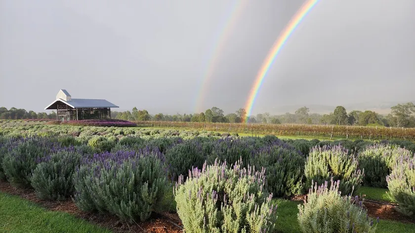 Kooroomba Lavender Villa – Unit 4 Romantic Escape - Image 1
