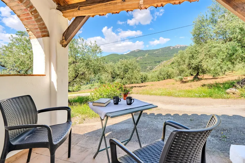 Cottage among olive trees with air conditioning & pool - Image 1