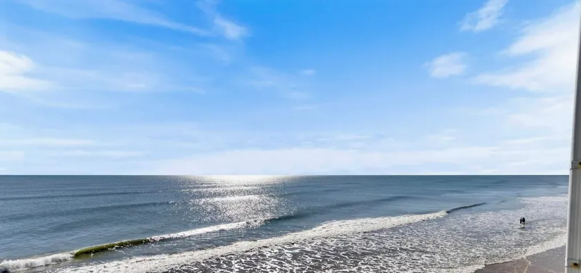 Topsail Dolphin Watch - Image 1