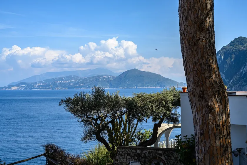 La Terrazza sul Mare - Image 1