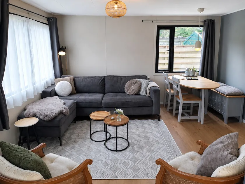 Chalet Vuurvlieg - In the wooded area of Drenthe - Image 1