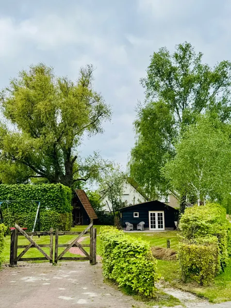 Under the Old Willow - Image 1