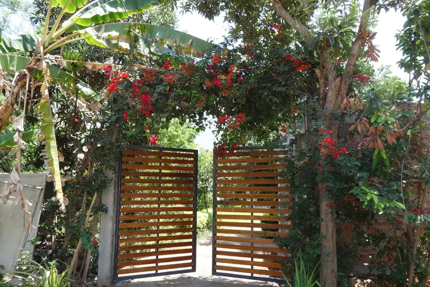 Oasis in Lunahuana - Image 1