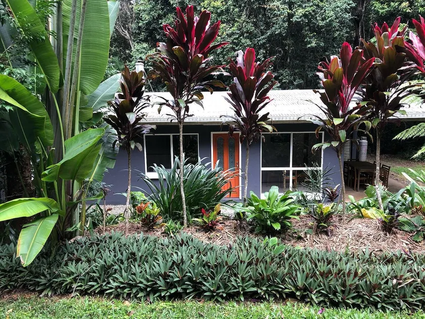 Honeybee House Cottage in the Rainforest - Image 1