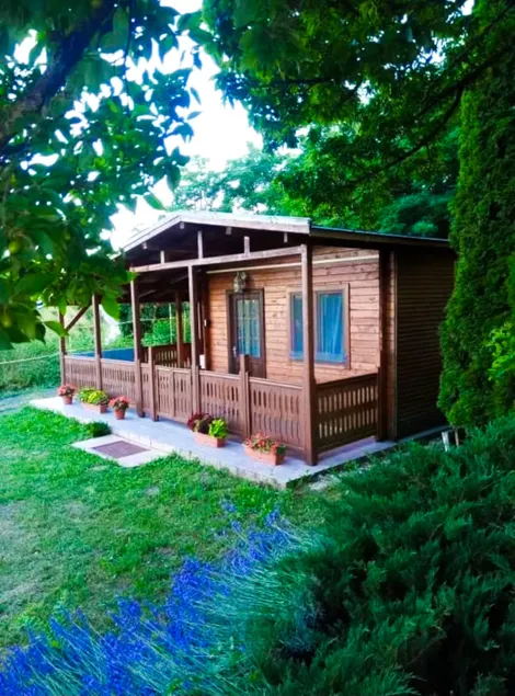 CabinBakony - Image 1