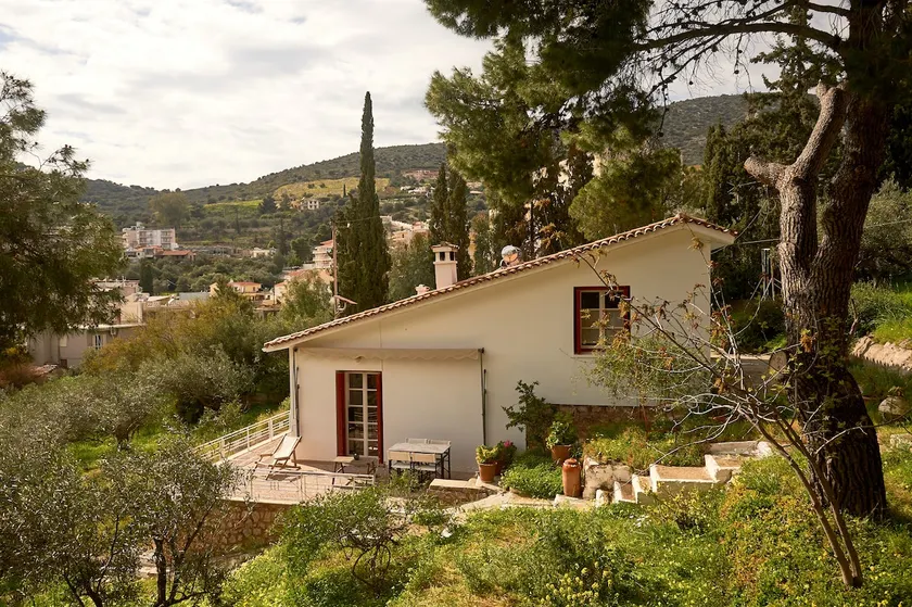 Cosy country house with treehouse in olive grove - Image 1
