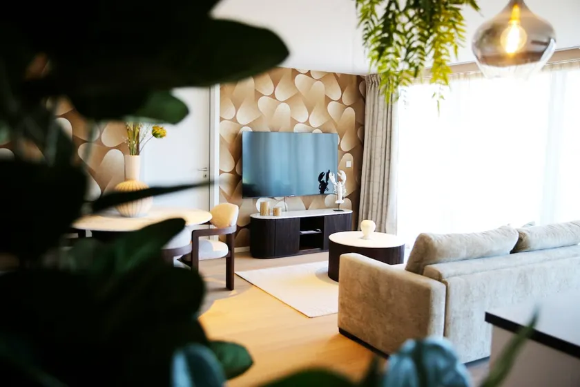 Elite Suite - Image 1