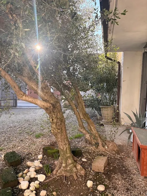 Casa Carati. Your retreat near PalaElachem - Image 1