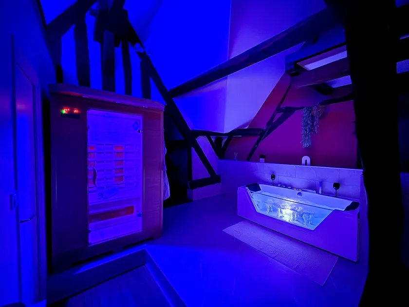 Spa Suite | Private Sauna & Home Theater – Quais de l’Yonne - Image 1