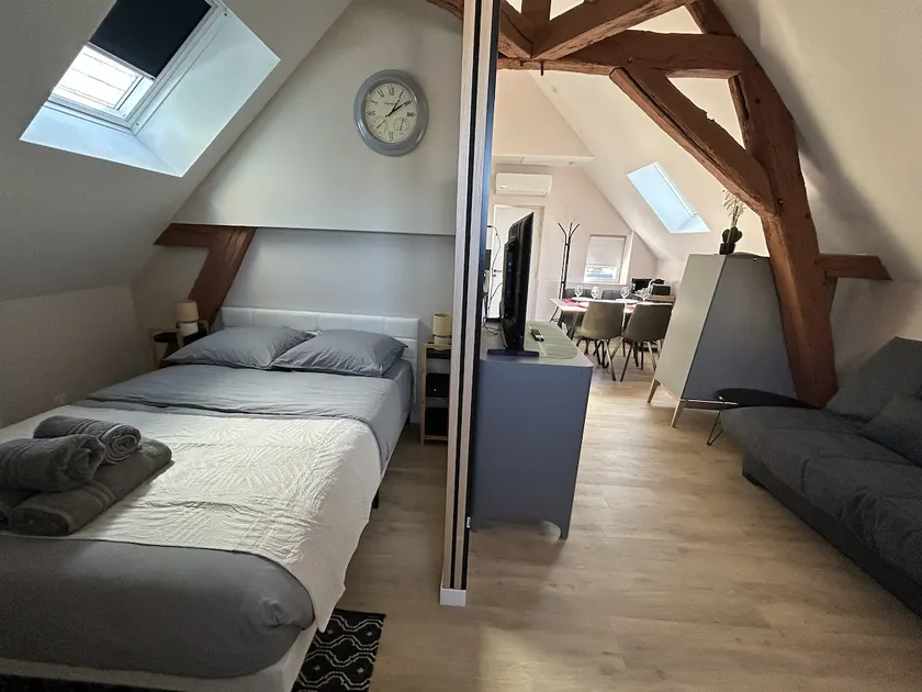 Cozy, air-conditioned nest with a view of the Château d’Amboise - Image 1