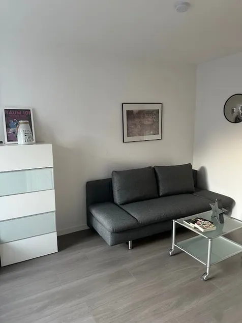 TiHo Apartment + Mass + HAZ - Image 1