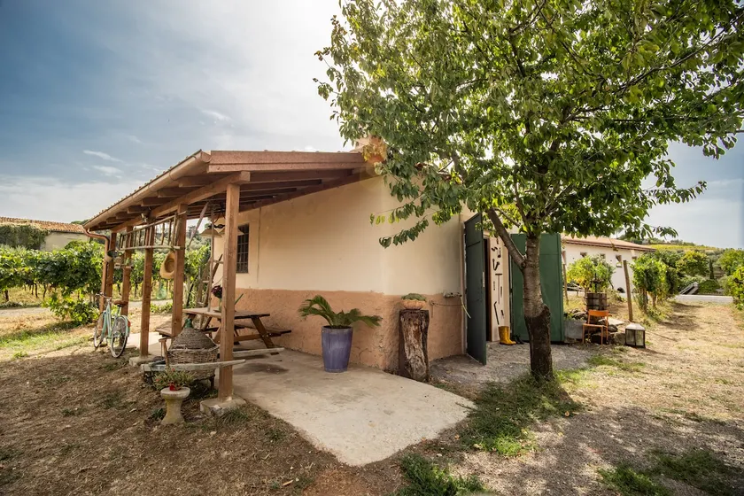 Casa in Vigna - Image 1