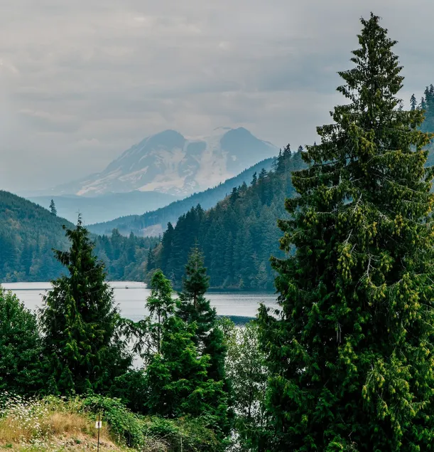 Arctic Island Paradise! Mineral Lake to Mt Rainier - Image 1