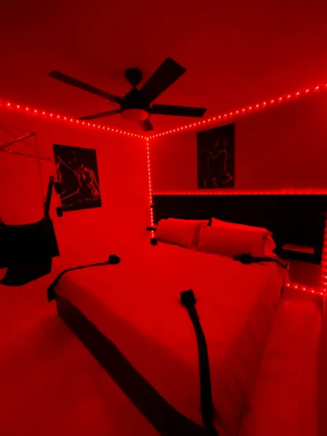Red Room Phoenix Red Temptation for Adults Only - Image 1