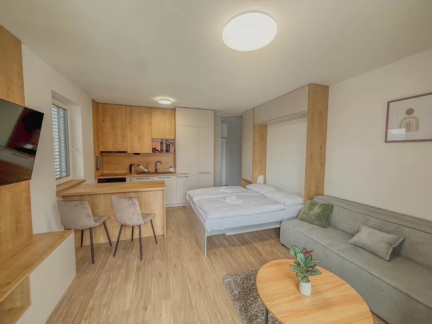 Cozy studio with free parking near the lake - Image 1