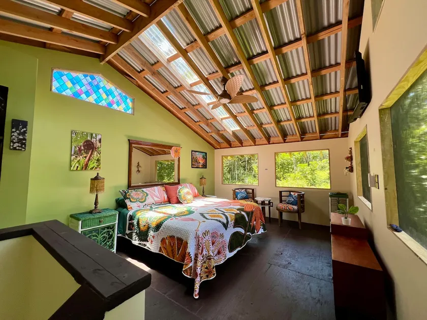 Rare Rainforest Hideaway-A REAL Jungle experience! - Image 1