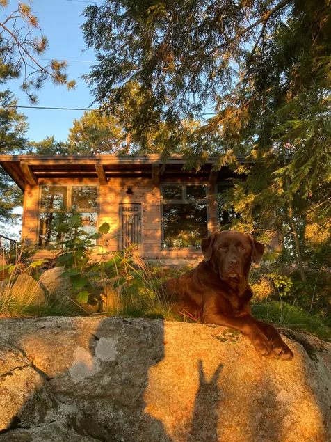 Lakeside reclaimed barn wood timber frame cabin - Image 1
