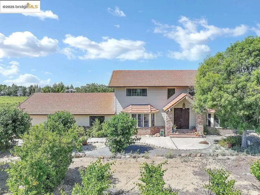 Vintage Vineyard Estate - Image 1