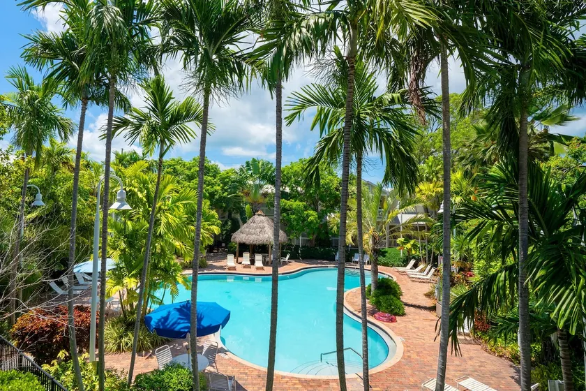 Coral hængekøje ved poolen Hjem: 3 BR, 3 BA House i Key West, 6 sovepladser - Image 1