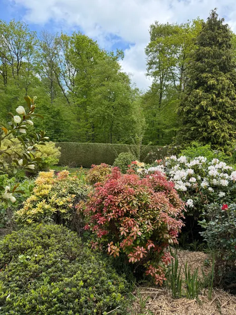 L'Orée du Bois – A Cozy Haven Between Forest and Garden - Image 1