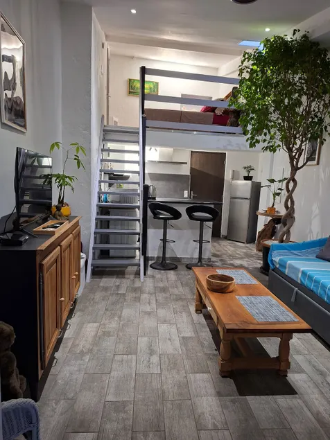Well-located apartment in Callian - Image 1