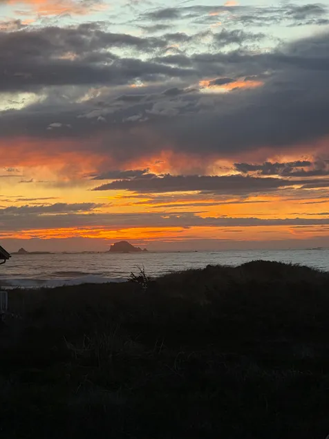 Driftwood Dreams with sunset walks on the beach. - Image 1