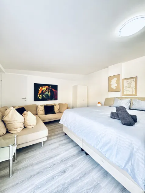Cozy 2BR Apt & LR with Balcony Near Museum Gugging - Image 1