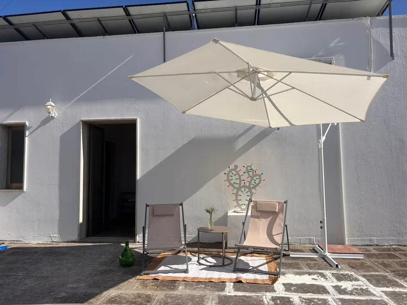 In the shade of the orange tree - Image 1