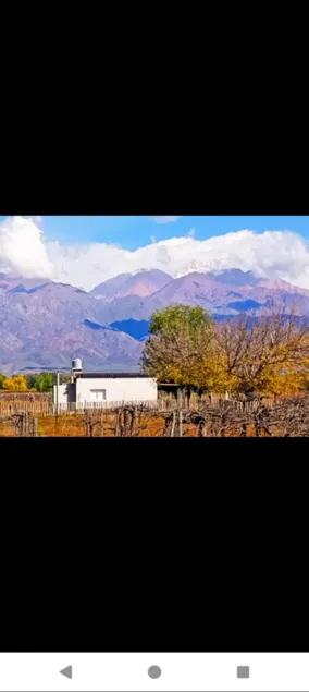 Finca la Angelita2 Country House - Image 1
