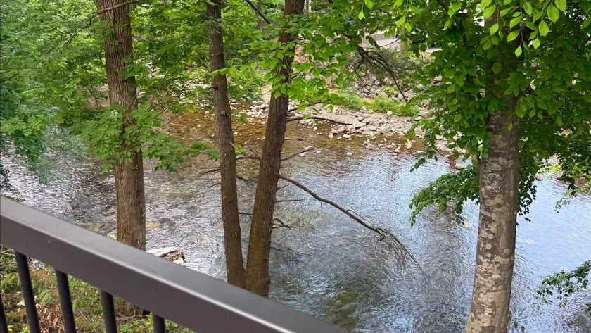 Riverfront | Dog Friendly | Close to GSMNP - Image 1