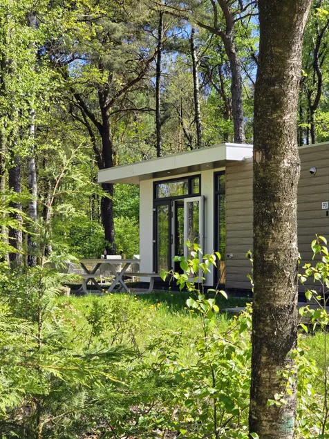 Tranquility & Nature at 't Gewei” - Image 1