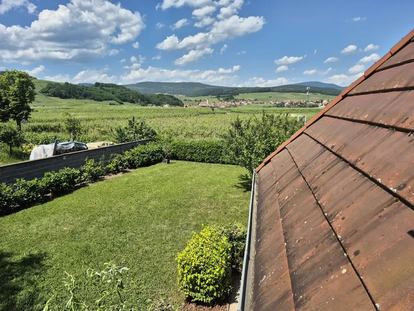 L'Orée du Vignoble le Nid Alsace Wine Route - Image 1