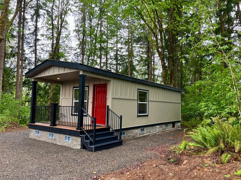 Fern and Fir Forest Retreat - Image 1