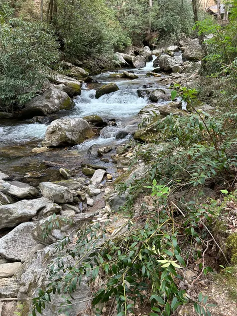 Buckcreek Cabin - Image 1