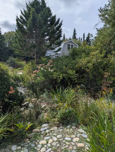 Rose Harbour - Image 1
