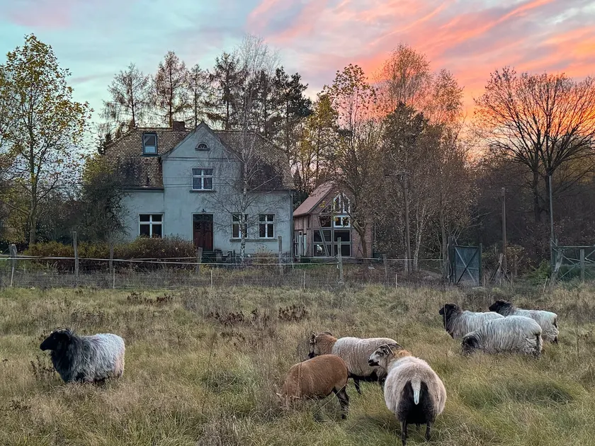 Hoher Fläming Nature Park: Villa Arensnest + yoga room - Image 1