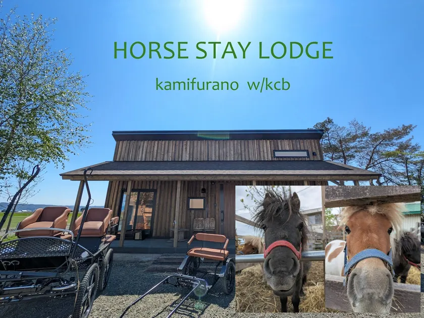 [New] Entire newly built lodge for rent with views of the mountains and miniature horses | HORSE STAY LODGE - Image 1