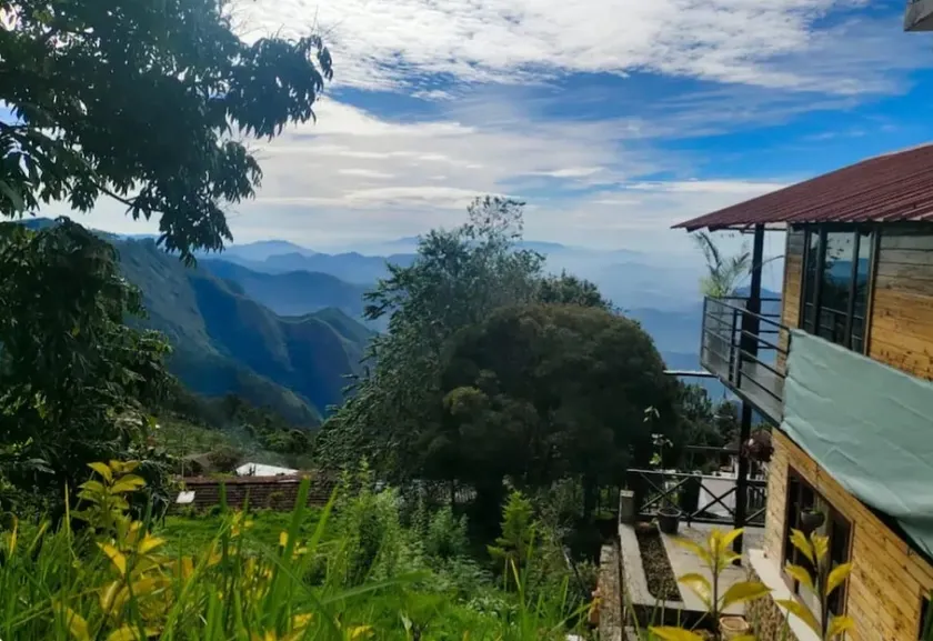 Mango Tree Inn - Image 1
