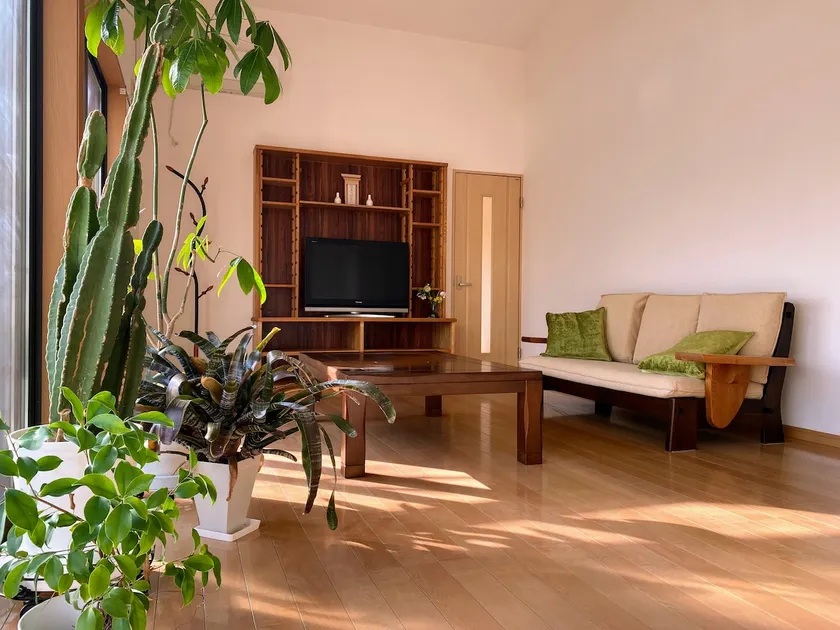 The joy of waking up to the morning sun and the sound of birds. Mornings at Sakura-An, where you can become one with nature. - Image 1