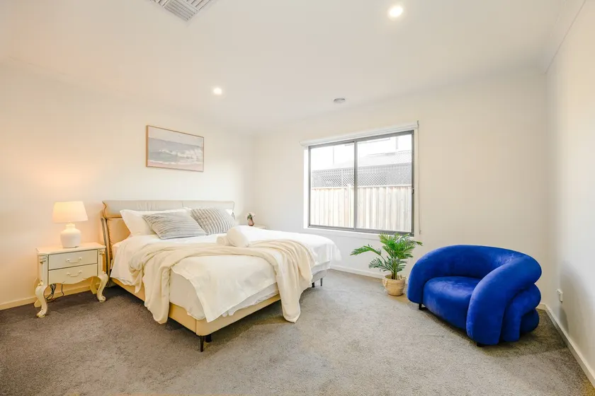 Seednest Stylish & Perfect for Relaxation - Image 1