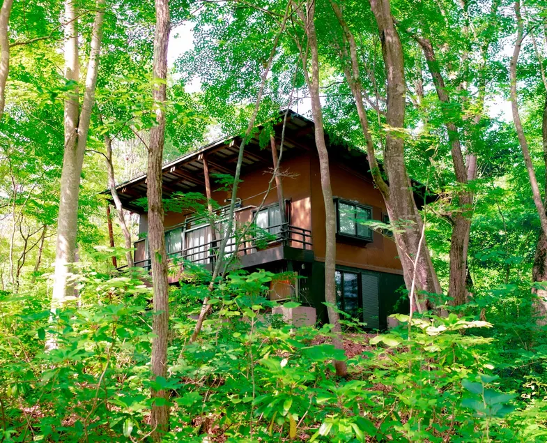 Entire cottage｜Forest by Lake Nojiri, awash in autumn colors｜Max 6 guests + 3 dogs｜Base for hot springs, sauna, and hiking - Image 1