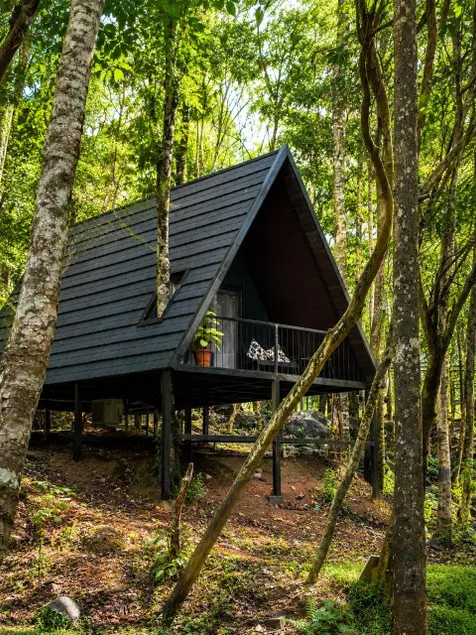 Hidden A-Frame Forest Cabin |Private Balcony &Pool - Image 1
