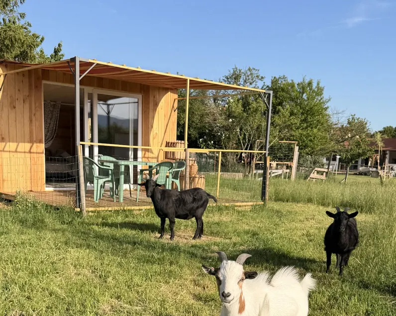 Cabin surrounded by farm animals - Image 1