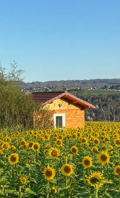 Small refurbished cottage - Image 1