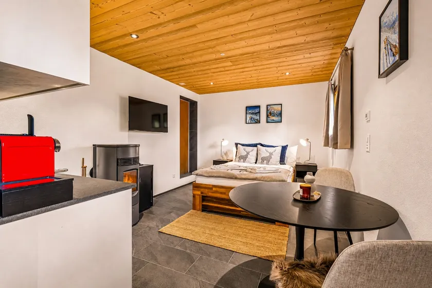 Modern Alpine studio with spectacular views - Image 1