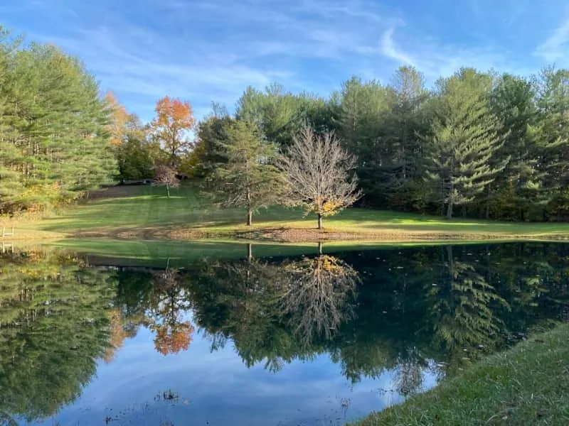White Pines Retreat - Image 1