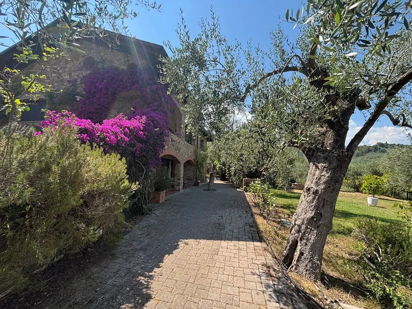 Alex's oasis - Image 1