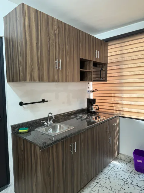 Loft 3, climate control/private parking, Col. República - Image 1